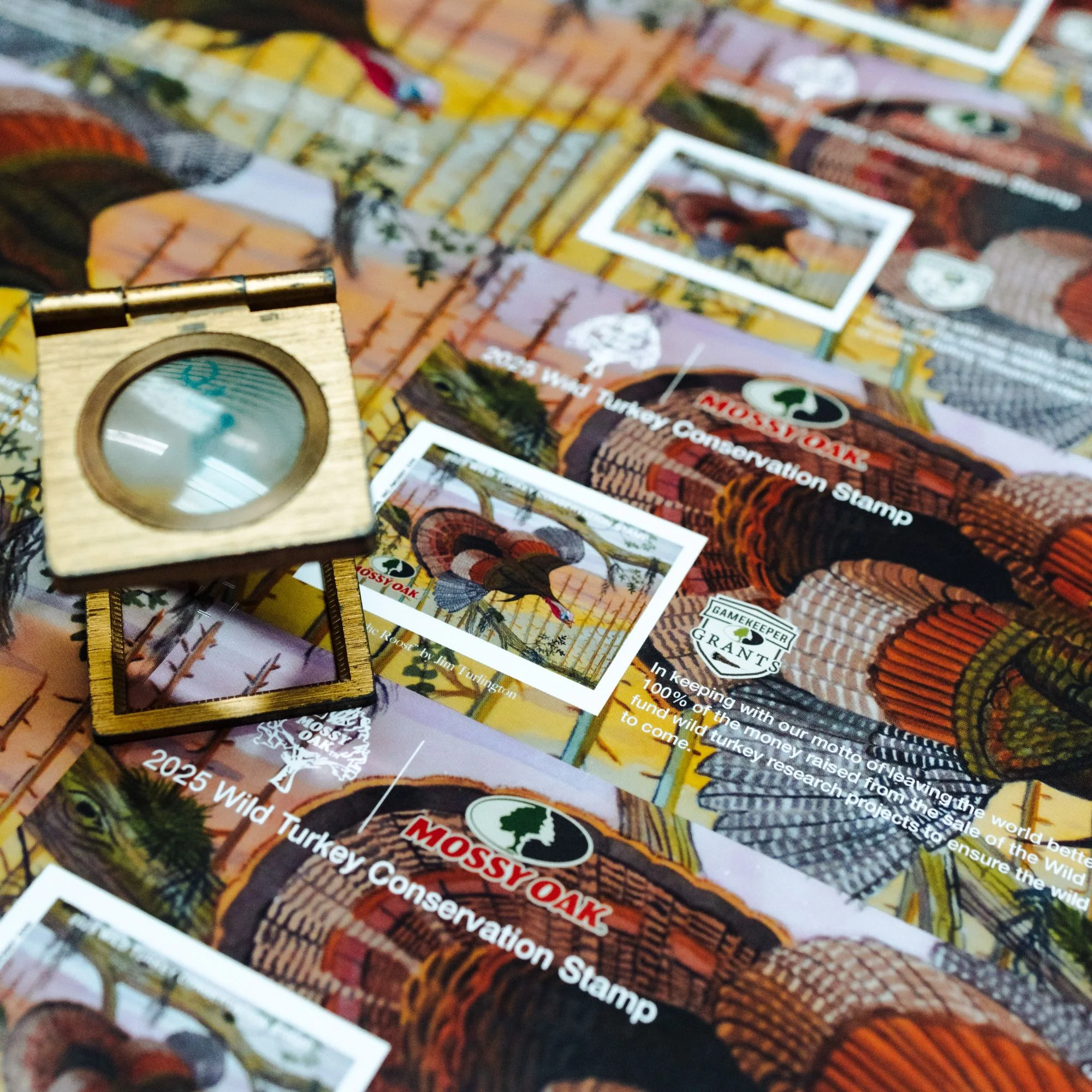 2025 Wild Turkey Stamp - Image 4